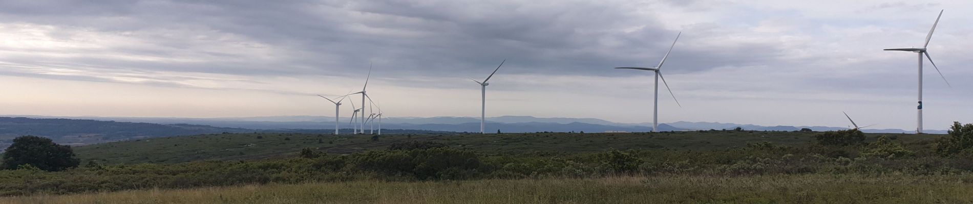 Randonnée Marche Villeveyrac - villeveyrac1 - Photo