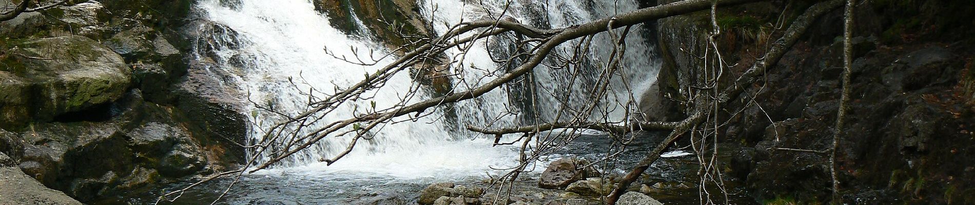 Percorso A piedi Špindlerův Mlýn - [Č] Medvědín okruh - Photo