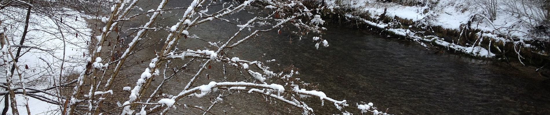 Randonnée A pied Langnau im Emmental - Langnau i.E. - Hohwacht - Photo