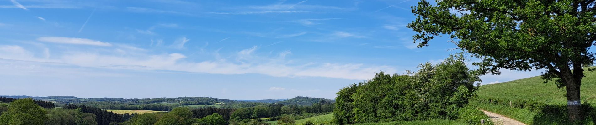 Trail Walking Durbuy - Marche ADEPS Ozo 15 km - Photo