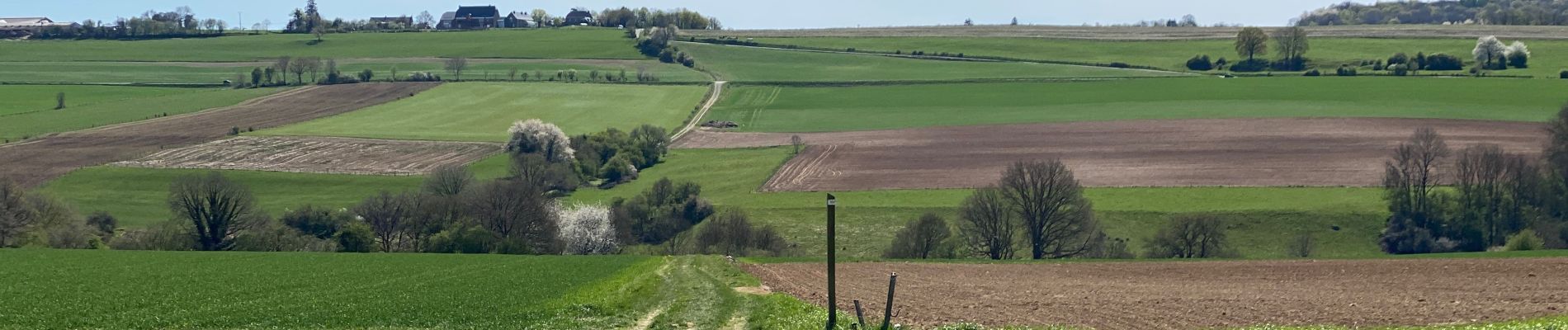 Percorso Marcia Assesse - Sart Bernard 20 km - Photo