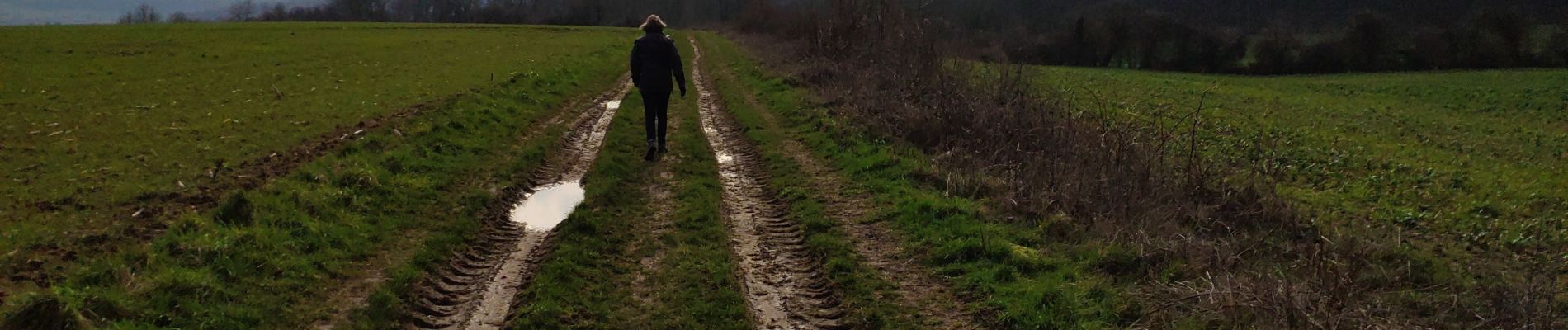 Trail Walking Bièvres - Bièvres France - Photo