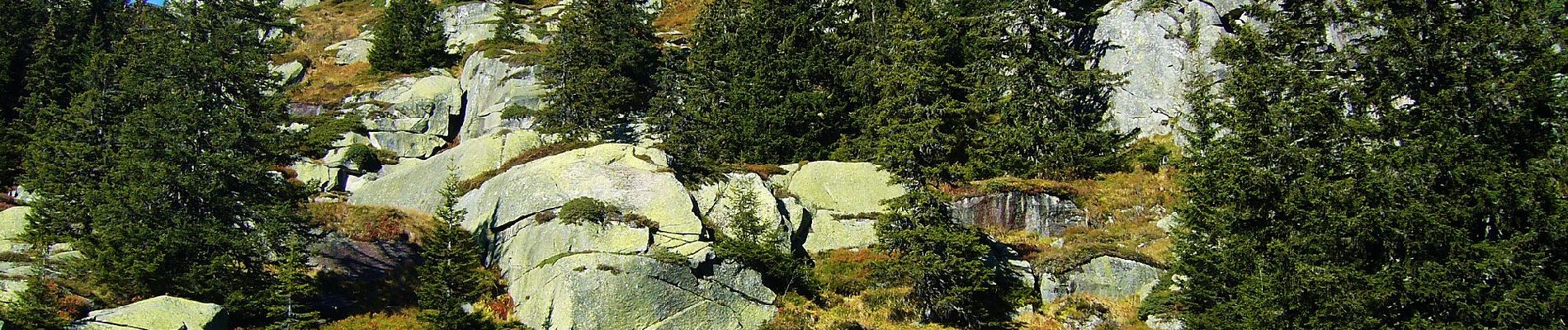 Tocht Te voet Göschenen - Göscheneralpsee Rundwanderung - Photo