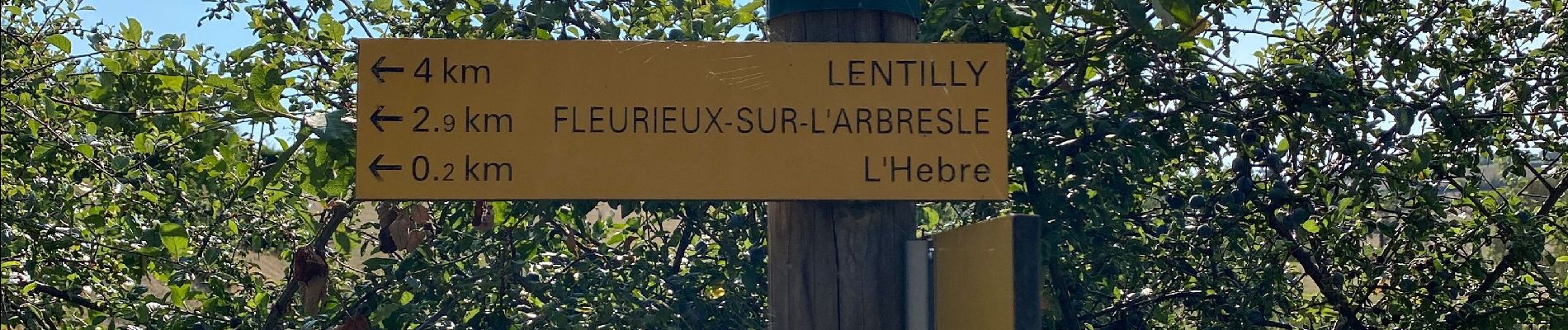 Tocht Stappen Fleurieux-sur-l'Arbresle - De Fleurieux aux couvent d'Eveux et retour - Photo