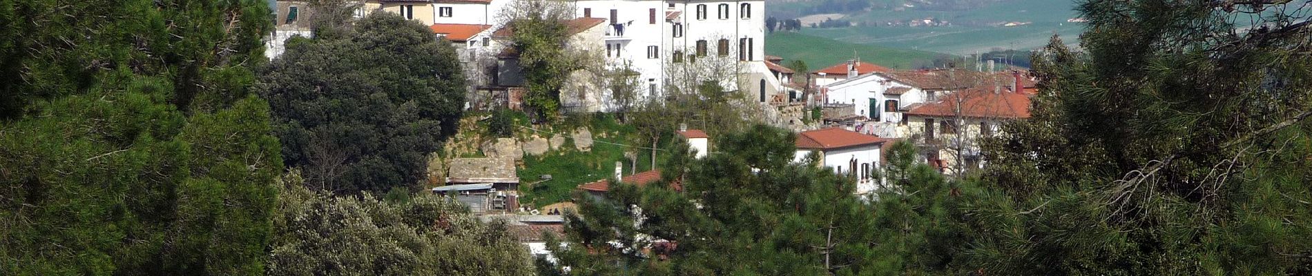 Percorso A piedi Collesalvetti - Sentiero del Calvario - Photo