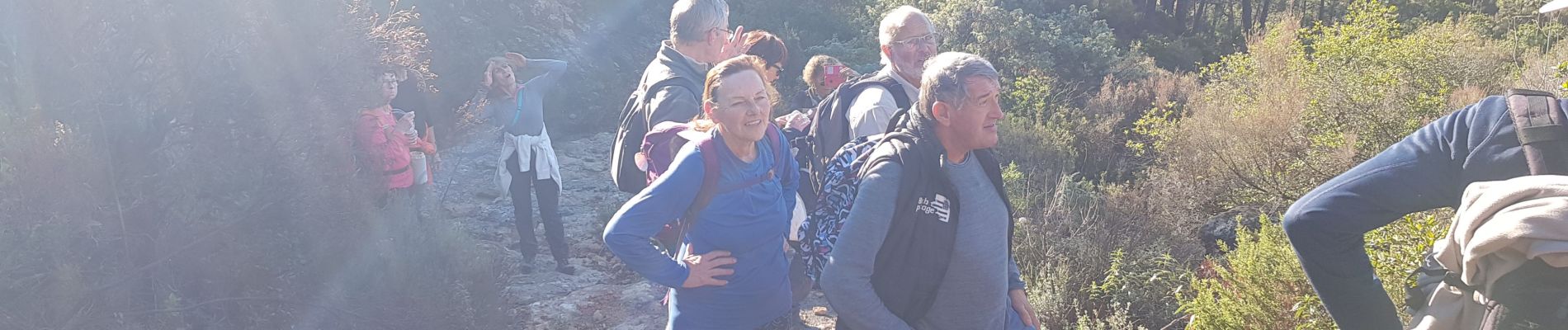 Randonnée Marche Puget-sur-Argens - la lieutenante - Photo