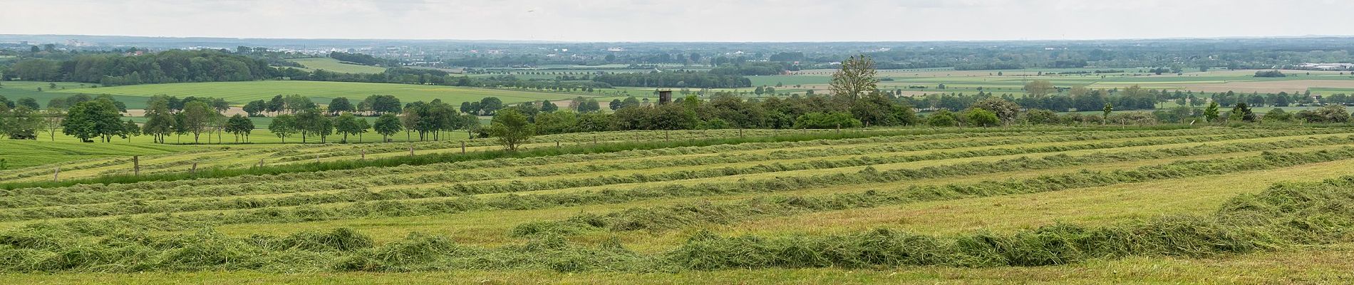 Tocht Te voet Bad Lippspringe - Rundwanderweg A1 [Steinbeke] - Photo