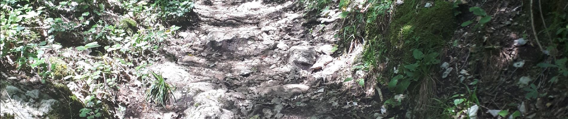 Randonnée Marche Aiguebelette-le-Lac - l'épine d'Aiguelette - Photo