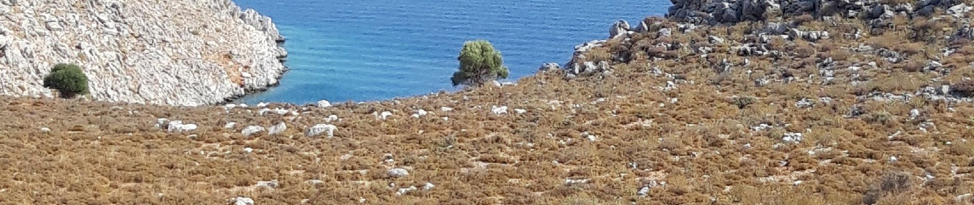 Trail Walking Πέδι - Grèce, Symi, Pedi vers Agia Marina - Photo