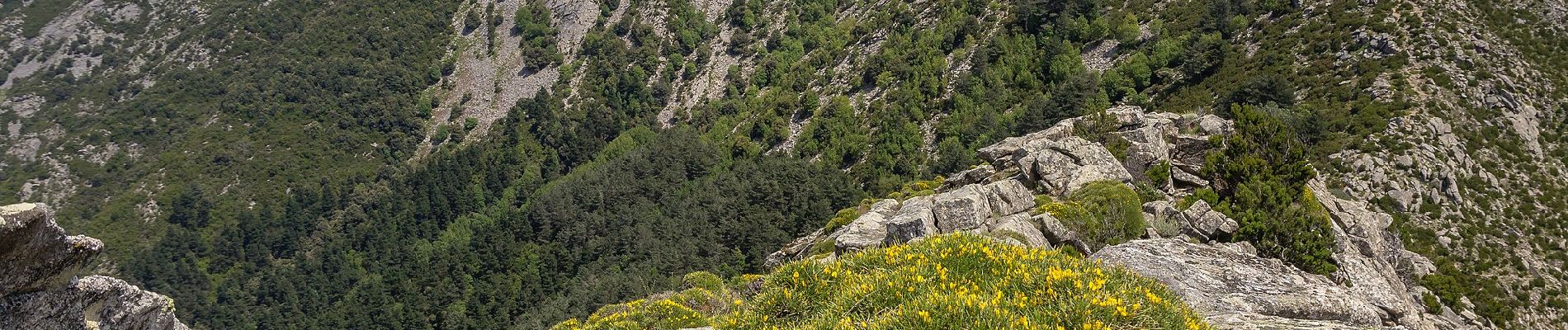 Percorso A piedi Marciana - Ferrata La Galera - Photo