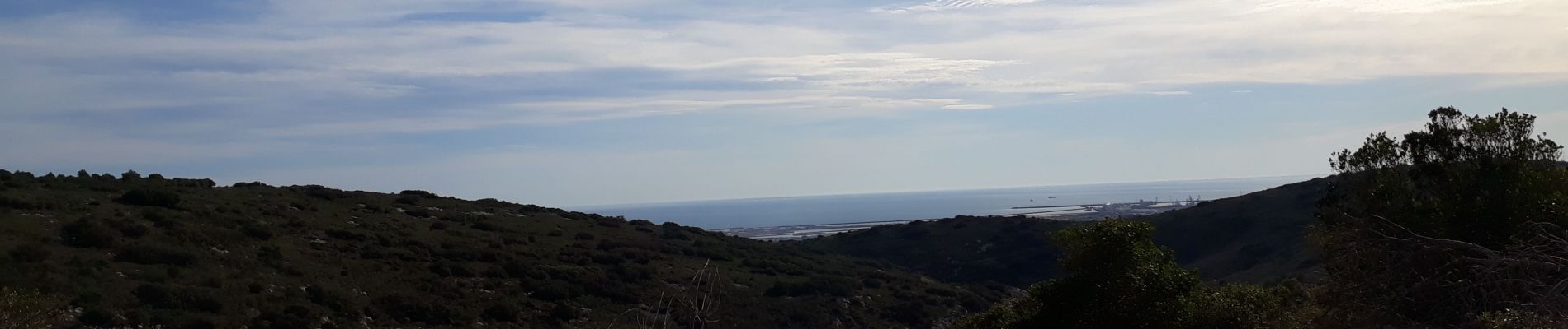 Tocht Stappen Gigean - massif de la Gardiole - Photo