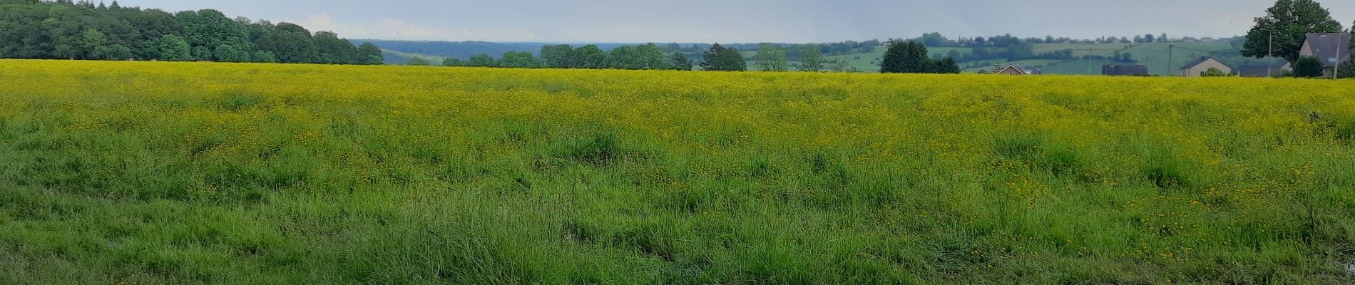 Tocht Stappen Marchin - marchin - Photo