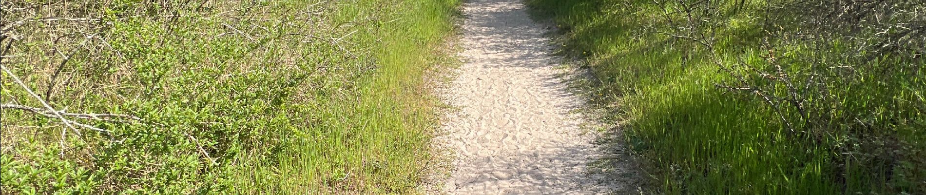 Trail Walking Le Crotoy - Balade au Crotoy  - Photo