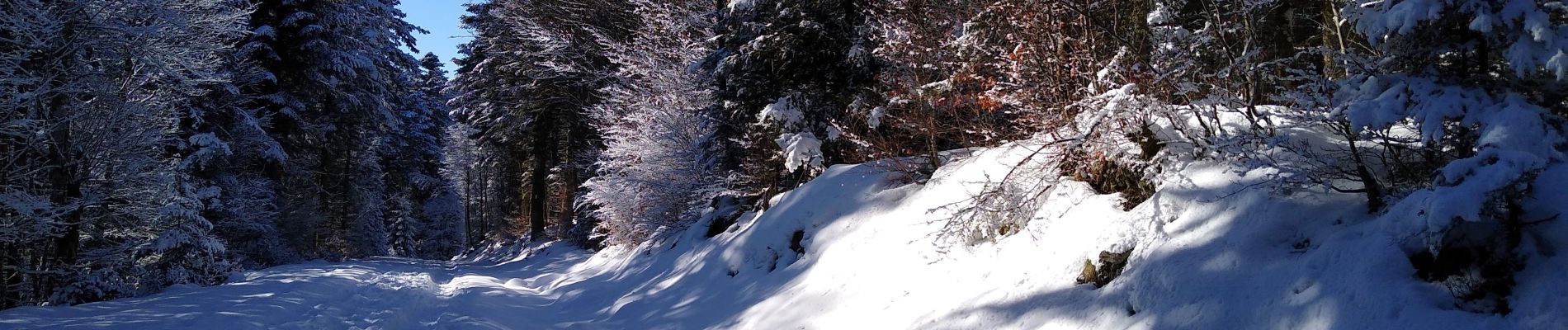 Tour Schneeschuhwandern Cornimont - le Brabant raquettes - Photo