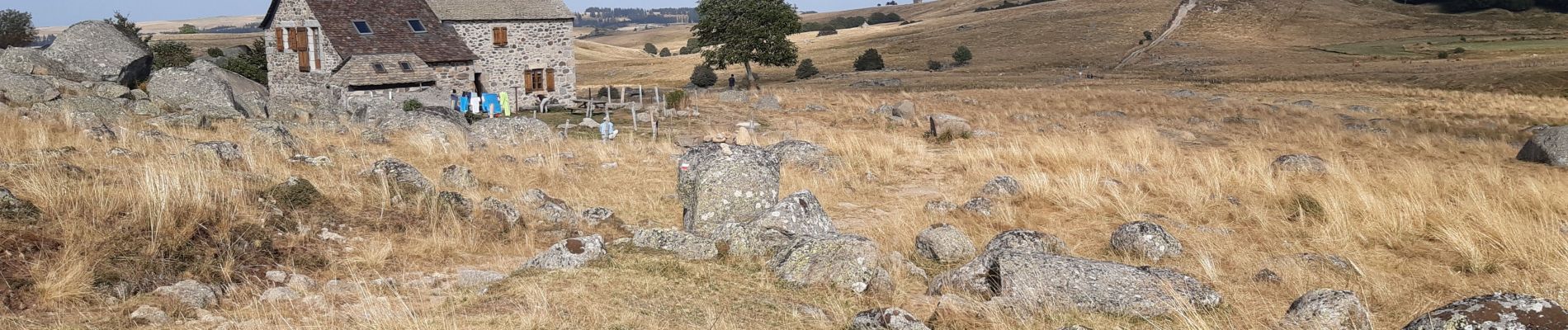 Randonnée Marche Saint-Chély-d'Aubrac - GR670 je Les Rajat - Photo