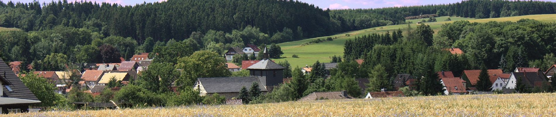 Randonnée A pied Südharz - gelber Balken - Photo