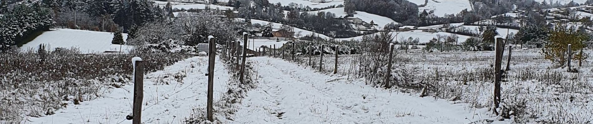 Percorso Mountainbike Rozier-en-Donzy - neige dimanche 28 novembre  - Photo