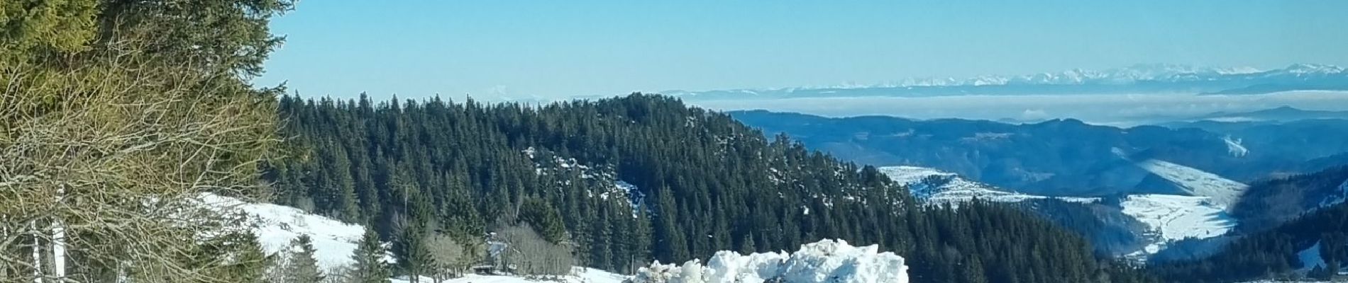 Percorso Racchette da neve Borée - les estables sortie 4 - Photo