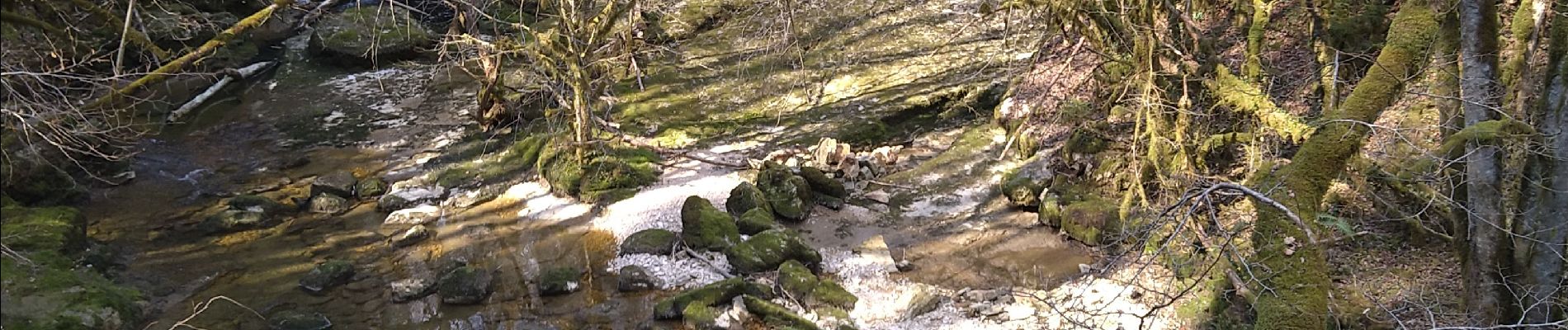 Tour Wandern Coteaux du Lizon - St Lupicin Les Tureys - Photo