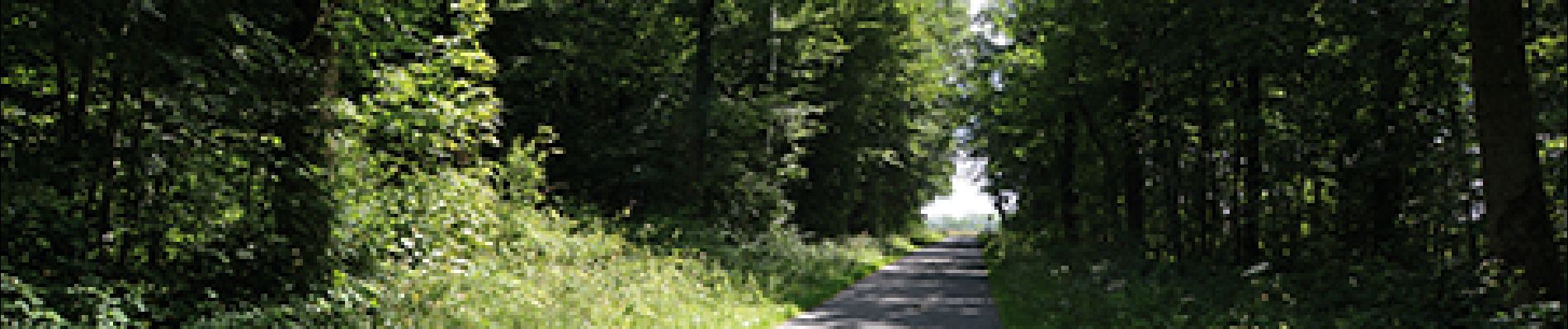 Randonnée Marche Sivry-Rance - Rance - Circuit Natura 2000, des sites qui valent le détour - Ht09 - Photo