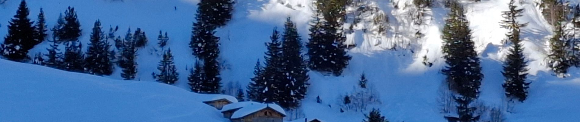 Randonnée Raquettes à neige Pralognan-la-Vanoise - Pralognan J4 La Corniche - Photo