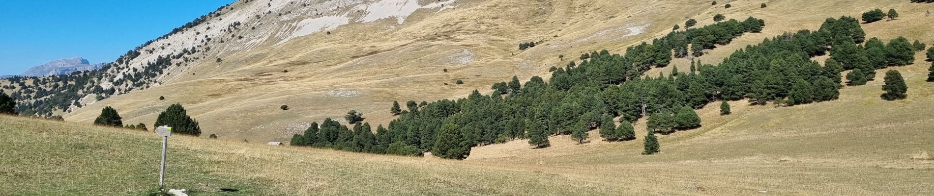 Tour Wandern Châtillon-en-Diois - mont barral - Photo