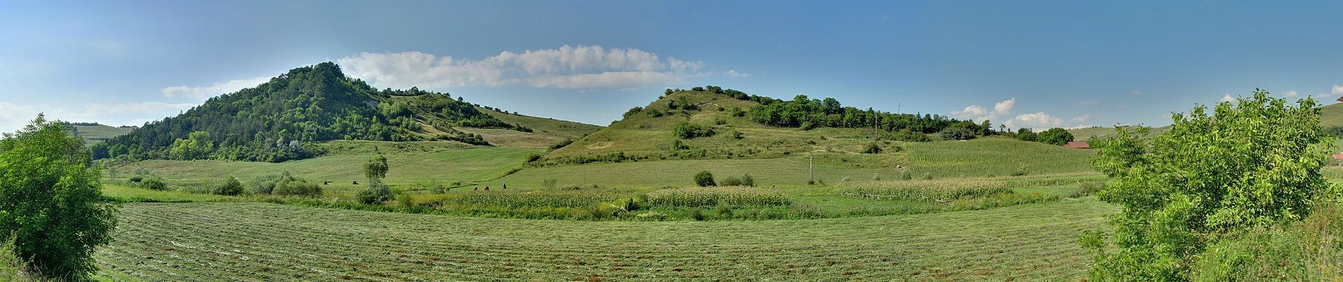 Percorso A piedi Târgu Mureș - Târgu Mureș (Dâmbul Pietros) - Vațman - Dealul Maiad - Beu - Vf. Terebici - Photo