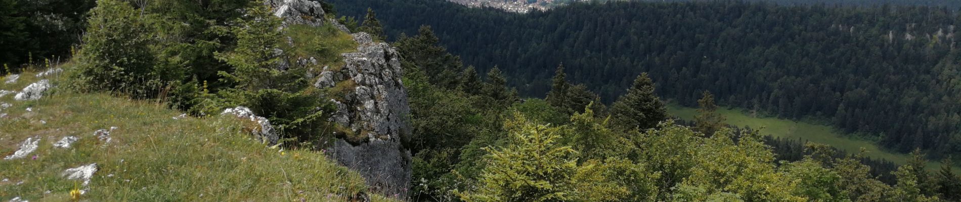 Trail Walking Pontarlier - le grand taureau - Photo