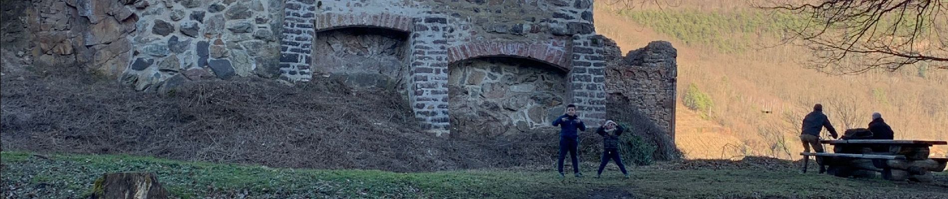 Tour Wandern Gebweiler - Château du Higstein Guebwiller  - Photo