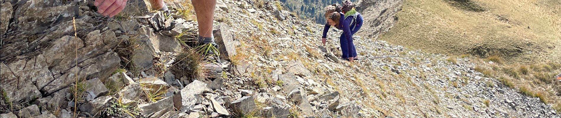 Randonnée Marche Vaujany - Aiguillettes  - Photo