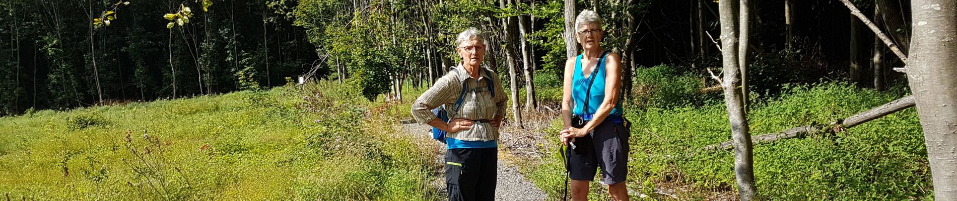 Percorso Marcia Écaussinnes - 2019-08-03 Ecaussinnes 20 km - Photo