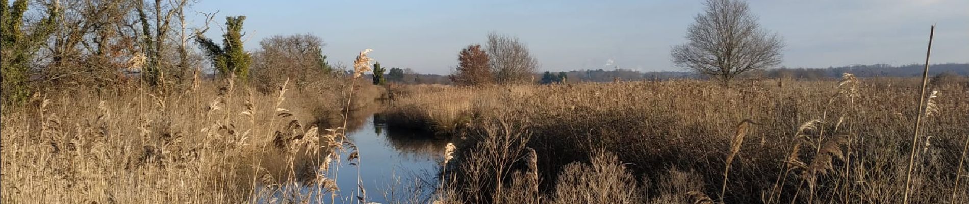 Tour Wandern Le Teich - 2022-01-16 Tour des plaines du Teich - Photo