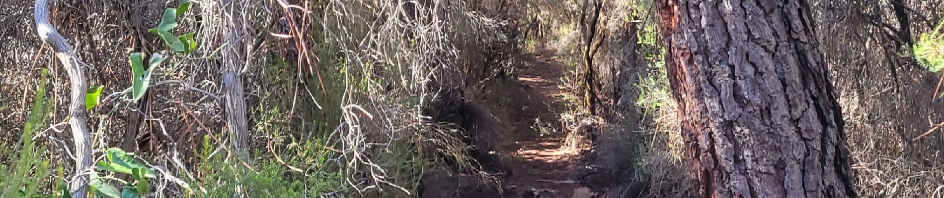 Trail Walking Saint-Raphaël - camping agay pic du cap roux - Photo