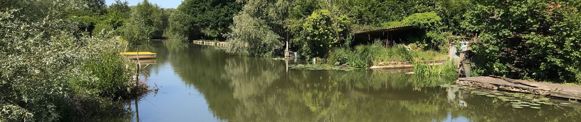 Randonnée Marche Clairmarais - Clairmarai - Photo