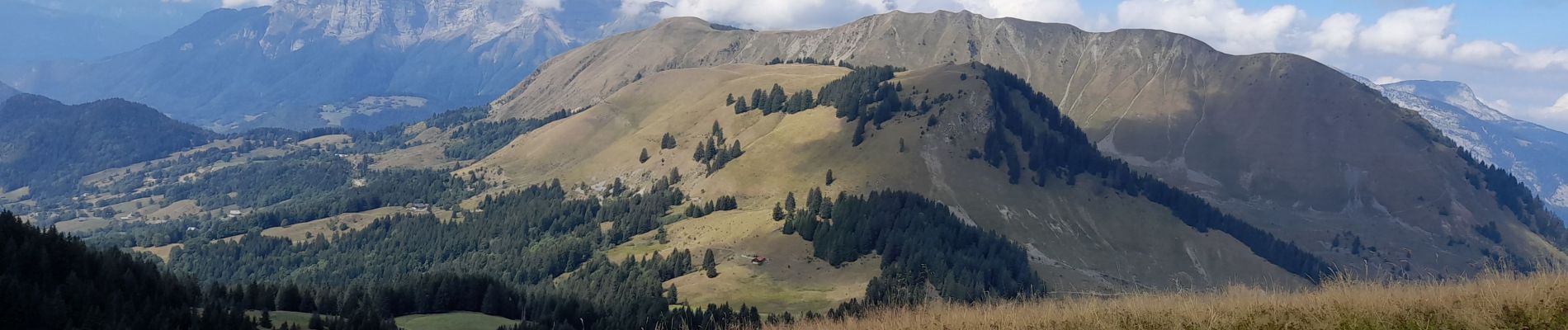 Excursión Senderismo Manigod - ARAVIS: POINTE D'ORSIERE VARIANTE - Photo