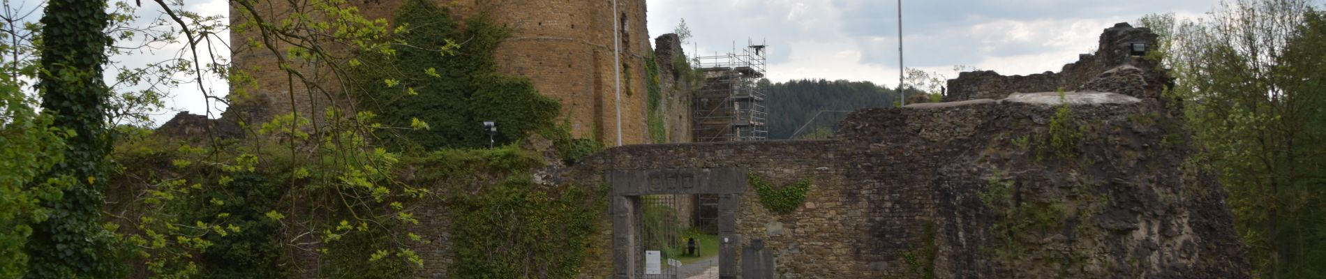 Tocht Stappen Theux - 20220509 - Château de Franchimont 7.6 Km - Photo