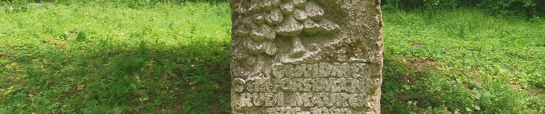 Excursión A pie Berka vor dem Hainich - Wanderweg Sulzrieden - Photo