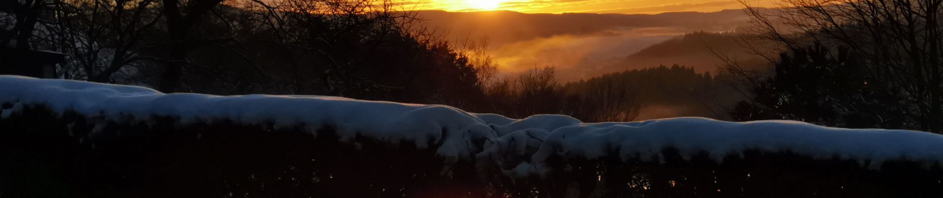 Randonnée Marche Stoumont - balade hivernale avec Rantanplan  - Photo