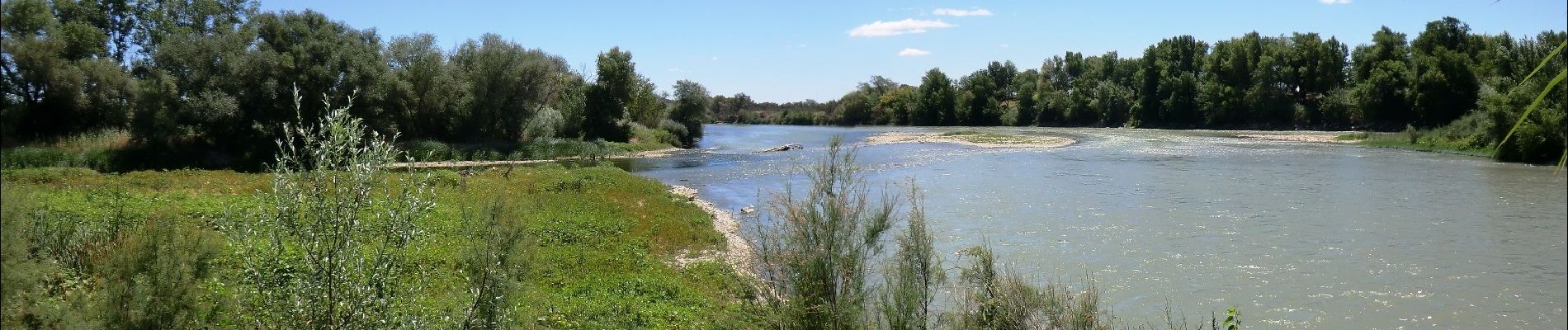 Percorso A piedi Saragozza - Desembocadura del Gállego - Photo