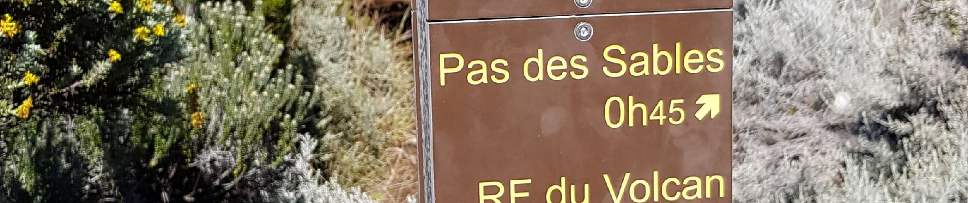 Randonnée Marche Saint-Joseph - Boucle autour de la plaine des sables - Photo