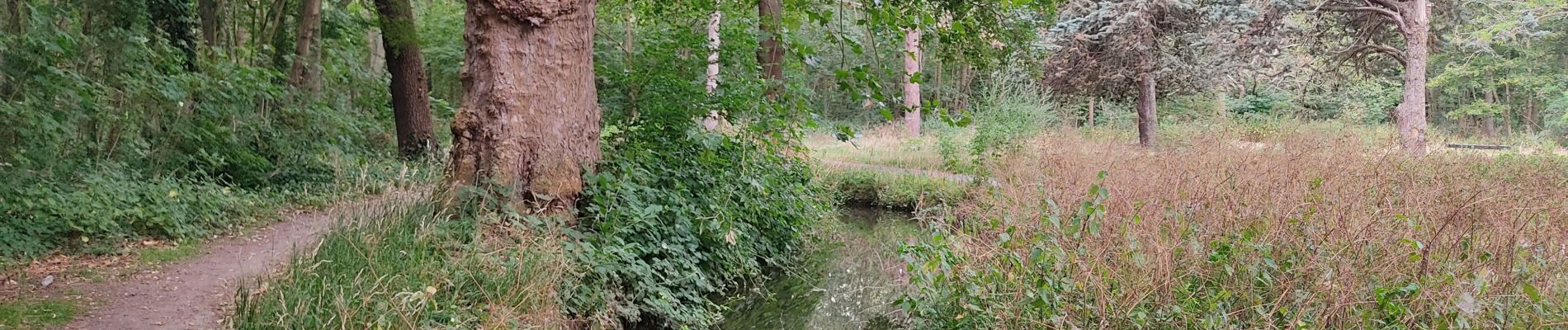 Randonnée Marche Neuilly-sur-Seine - Le bois de Boulogne - Photo