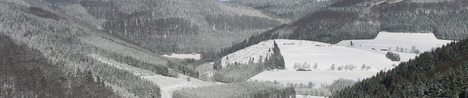 Percorso A piedi Schmallenberg - Rothaarsteig-Spur Sorper-Panoramapfad - Photo