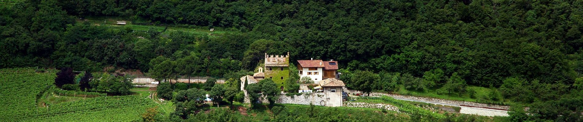 Percorso A piedi Trento - Sentiero della Val di Gola - Photo