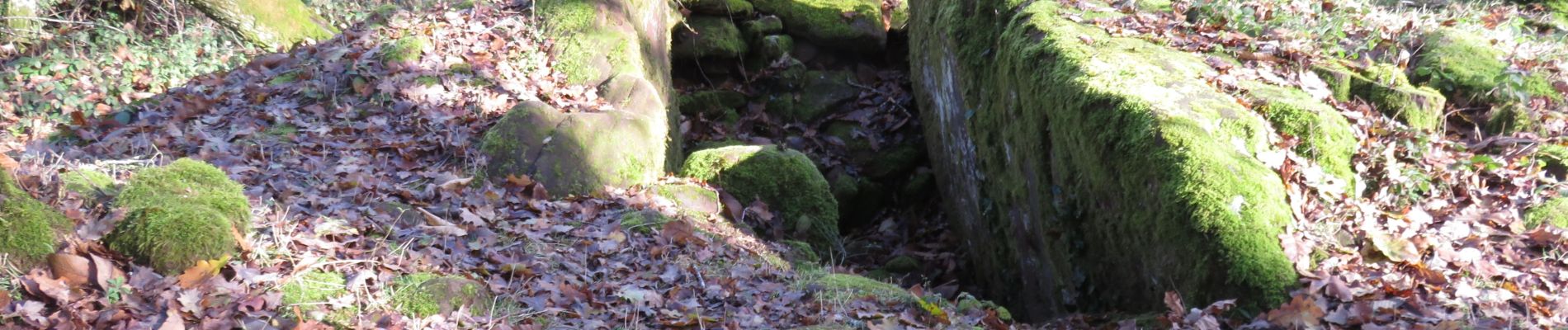 Tocht Stappen Noailhac - Noailhac- Dolmen et pierre gravée (départ de Noailhac) - Photo