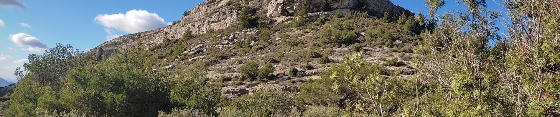 Tocht Stappen Allauch - La Treille le Taoumé - Photo