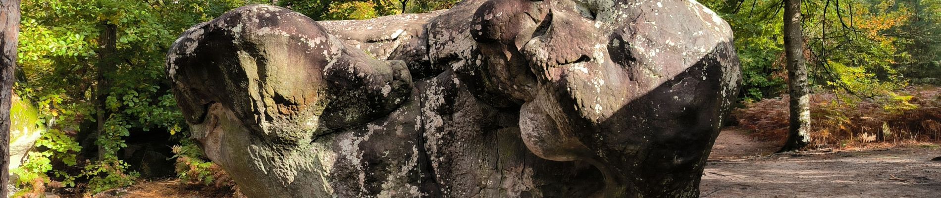 Tocht Stappen Fontainebleau - Barbison 24 octobre  2023 - Photo