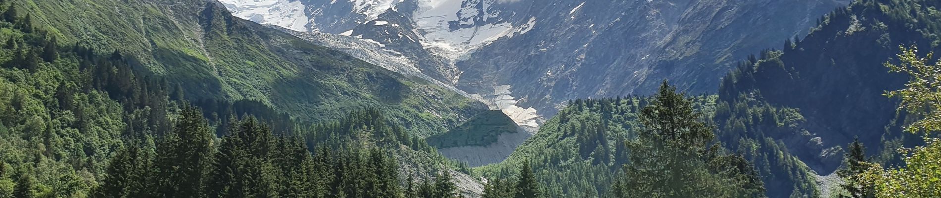 Trail Walking Saint-Gervais-les-Bains - La passerelle du glacier de Bionnassay - Photo