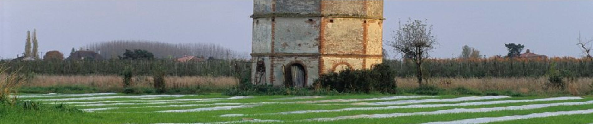 Randonnée A pied Moissac - Les Anciens Chemin de Halage - Photo