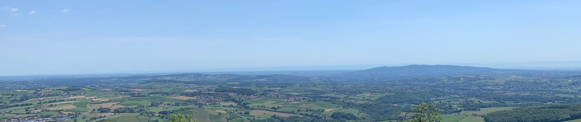 Tour Wandern Saint-Romain-de-Popey - Crêt de popey  - Photo