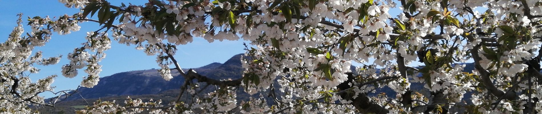 Trail Walking Saint-May - le rocher du caire - Photo